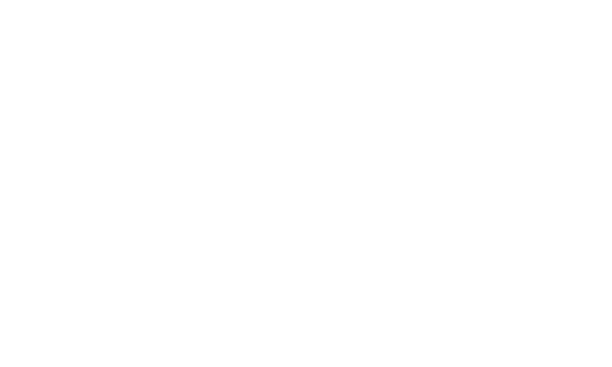 Logo Mena Group